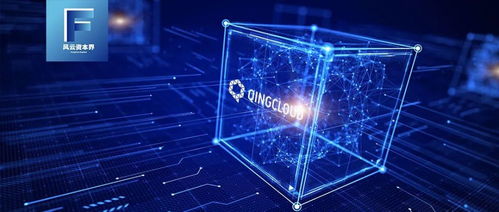 強敵林立，青云科技如何以技術服務突圍阿里、華為等巨頭？